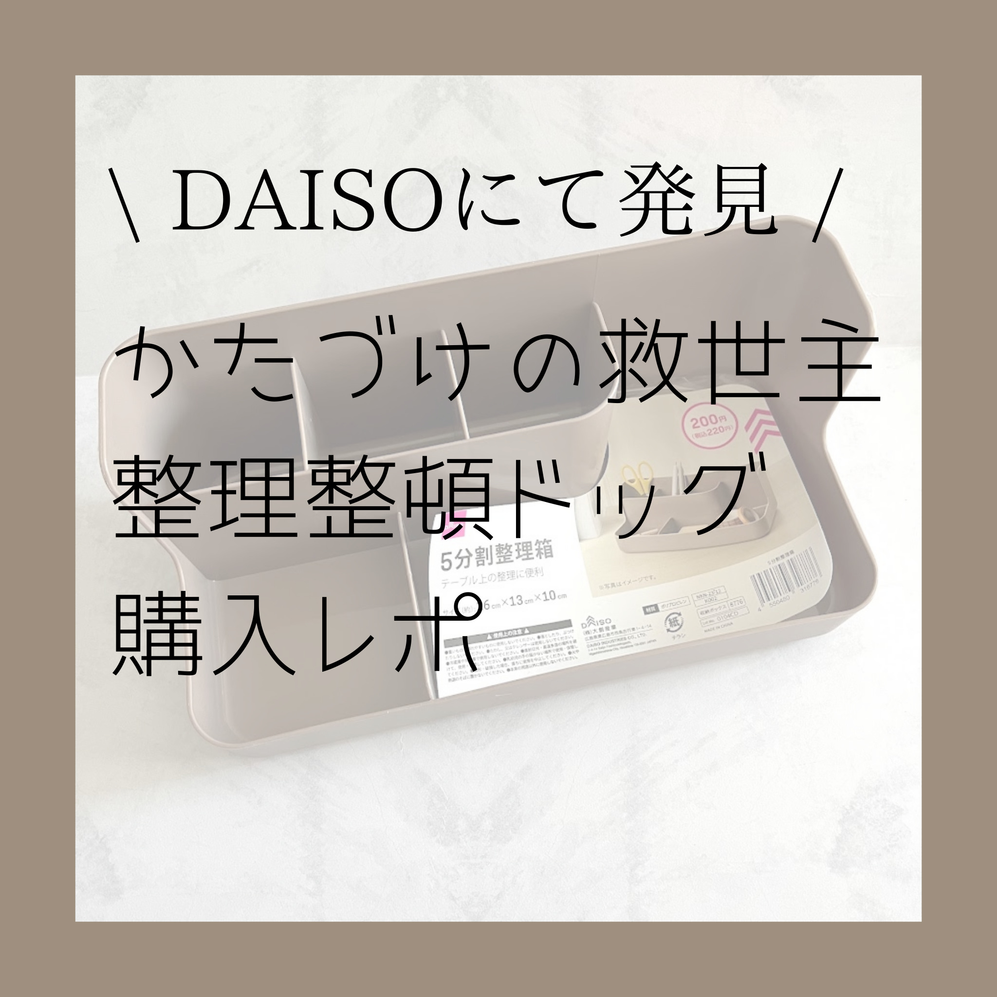 DAISO【ぜったい整頓できる説】収納ドッグ発見
